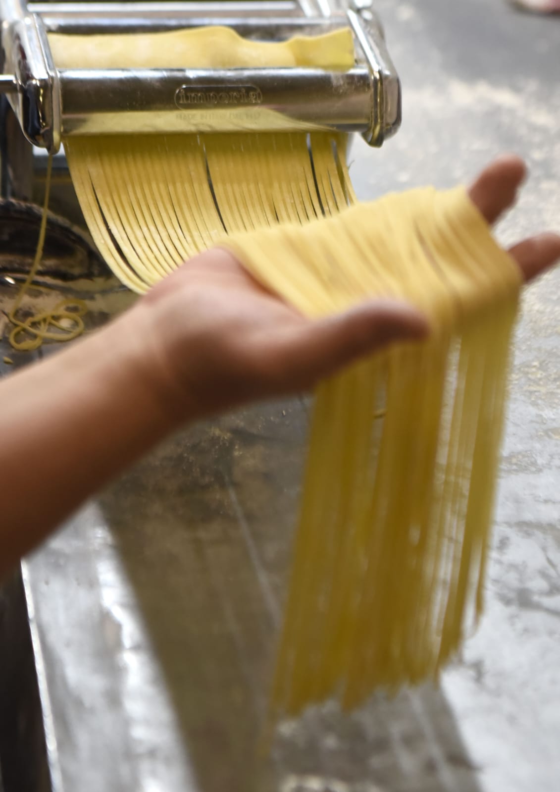 Fresh cut spaghetti